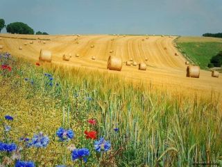 فال روز چهارشنبه ۲۰ مه - ۳۰ اردیبهشت