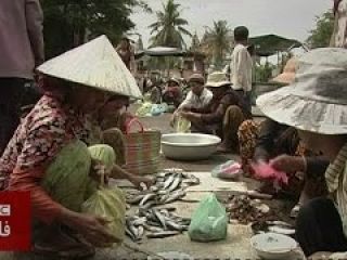 اعزام اولین پناهجویان ایرانی استرالیا به کامبوج - ویدیو