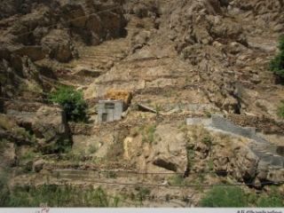 تصرف ۸۱۸ هکتار از اراضی ملی شمیرانات توسط نیروهای مسلح