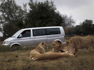 زن جوان امریکایی طعمه سوژه عکاسی‌اش شد