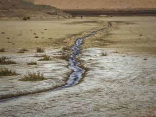 کشاورزی ایران در دوران پست نرمال؛ اینک خزان بی‌پایان