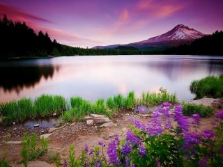 فال روز شنبه ۶ ژوئن - ۱۶ خرداد.