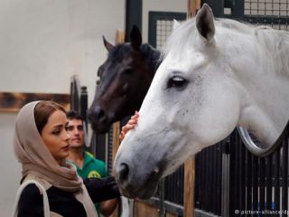 زنان و مردان سوارکار ایرانی در رقابت‌های پرش با اسب در تهران.