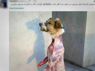 ۲۰۰۰کیلو گوشت سگ تبدیل به سوسیس شد؟