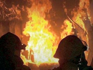 «گوشی تلفن نو» راز قتل پیرزن را فاش کرد