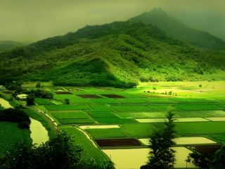 فال روز جمعه ۳ جولای - ۱۲ تیر