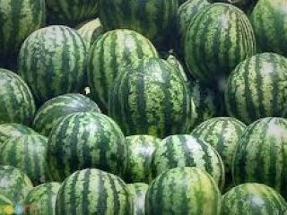 هندوانه‌ای که ۷۵۰ میلیارد تومان آب خورد