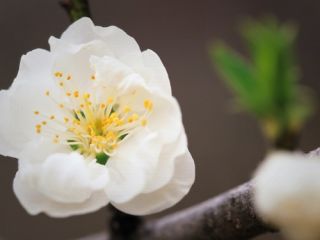 فال روز سه شنبه ۷ جولای - ۱۶ تیر.