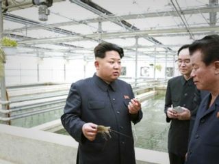 مدیر مزرعه پرورش لاک‌پشت به دستور رهبر کره شمالی تیرباران شد