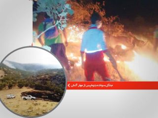 مرد قاتل ٢٠٠ هکتار جنگل بلوط را به آتش کشید