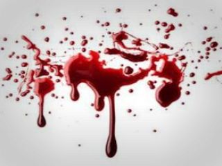 از قتل همسر و فرزندانم پشیمان نیستم