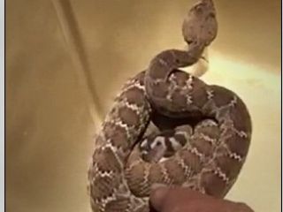 عکس ناشیانه‌ای که ۱۵۳ هزار دلار آب خورد