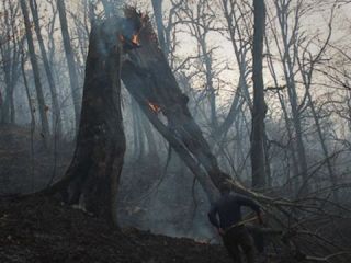 واگذاری میلیون‌ها هکتار از اراضی طبیعی برای ساخت‌وساز در ۲۵ سال گذشته