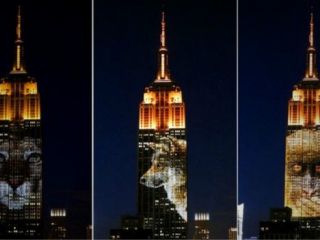 حیوانات در خطر انقراض بر امپایر استیت نیویورک