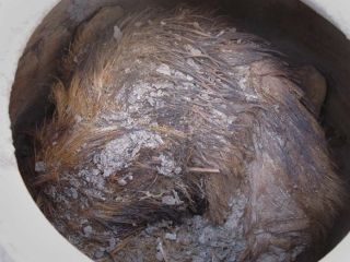 کشف ۸ میلیون سگ مومیایی در معبد خدای مرگ