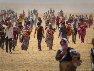 ایزدیان: همه ما را تنها گذاشته‌اند.