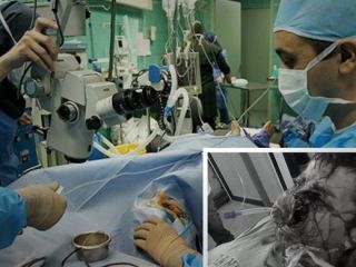 اسیدپاش‌های کهنوج دستگیر شدند/ گناه قربانیان ارزان فروشی بود