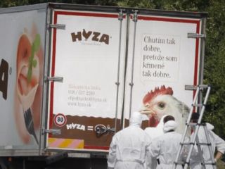 کشف اجساد دهها پناهجو در کامیونی در اتریش