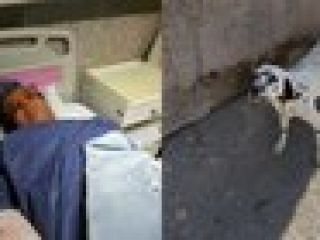 گفتند سگ بازِ نجس و با قمه حمله کردند