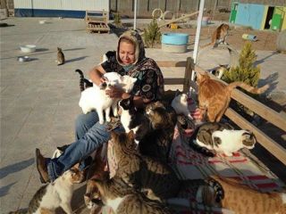 شعله رئوفی در آتش سوخت؛ همراه با گربه‌هایش