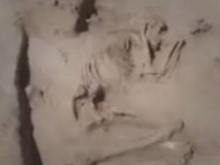 کشف اسکلت ۵۸۰۰ ساله در فارس+ ویدیو