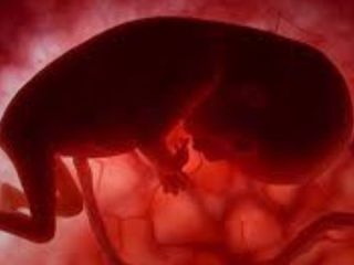 کشف یک جنین در حیاط دانشگاه تهران