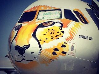 یوز ایرانی پرواز کرد