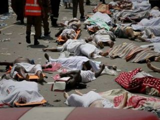 رئیس سازمان حج و زیارت: منابع موثق معتقدند تعداد تلفات حادثه منی به مرز ۲۰۰۰ نفر خواهد رسید