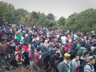 سازمان ملل متحد: روزانه هشت هزار پناهجو وارد خاک اروپا می‌شوند