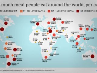 مردم کشورهای مختلف جهان چقدر گوشت مصرف می‌کنند؟