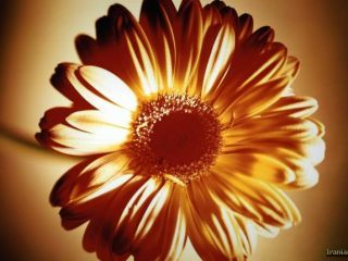 فال روز یکشنبه ۱۱ اکتبر - ۱۹ مهر.