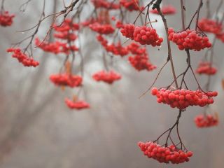 فال روز یکشنبه ۱۸ اکتبر - ۲۶ مهر