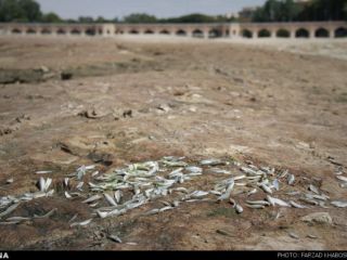 مشاور عالی سازمان محیط زیست: ایران تا ۱۵ سال دیگر تبدیل به کویر می‌شود
