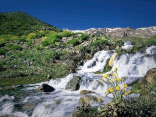 «۸۵ درصد» منابع آبی ایران استفاده شده است