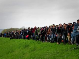 کرواسی مرز خود با صربستان را به روی پناهجویان باز کرد