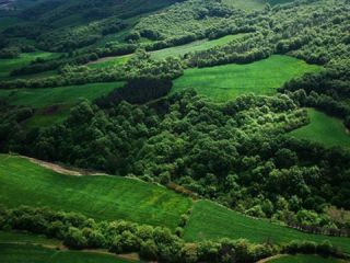 موافقت دولت با تخریب صد هکتار از جنگل‌های هیرکانی برای ساخت سد