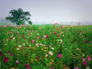 فال روز جمعه ۳۰ اکتبر - ۸ آبان