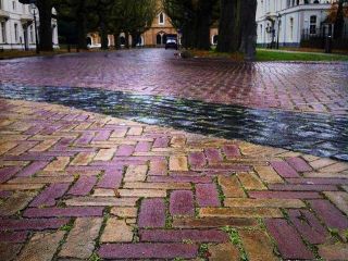 پست اینستاگرامی شهاب مرادی درباره مدیریت آب و باران در هلند