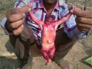 انتشار خبر دروغ و احمقانه در تلگرام