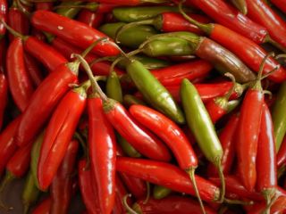 غذاهای تند با طول عمر بیشتر همراهی دارند