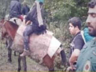 ۵۰ساعت دلهره آور در عمق جنگل