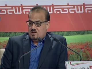 عضو هیات علمی دانشگاه علامه: به زودی از خرید خودرو پشیمان می شوید