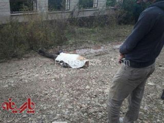 متهمان قتل دختر ۲۶ ساله جنایت را گردن هم انداختند