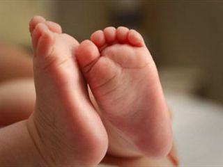 قتل هستی کوچولو در دنیای شیشه‌ای مادر