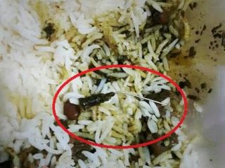 روز دانشجو با طعم سرنگ!