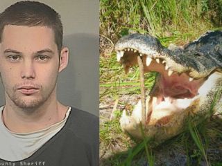 تمساح، سارق فراری را خورد