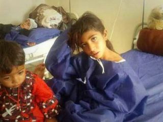 دختری که سگ وحشی را از پای درآورد