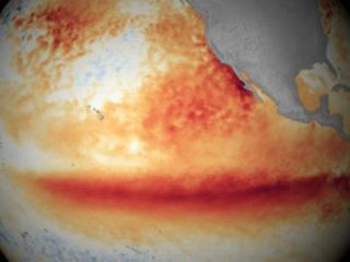 ال‌نینیو 'امنیت غذایی و جان میلیون‌ها نفر را تهدید می‌کند'