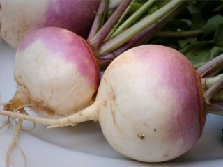 شلغم؛ یار روزهای سرد زمستان