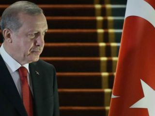 ترکیه: نیت اردوغان 'تحسین هیتلر' نبود